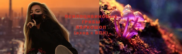 стафф Вяземский