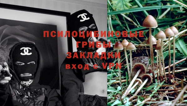 стафф Вяземский