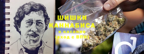 apvp Вязьма